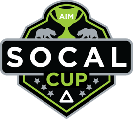 International Volleyball Tournament