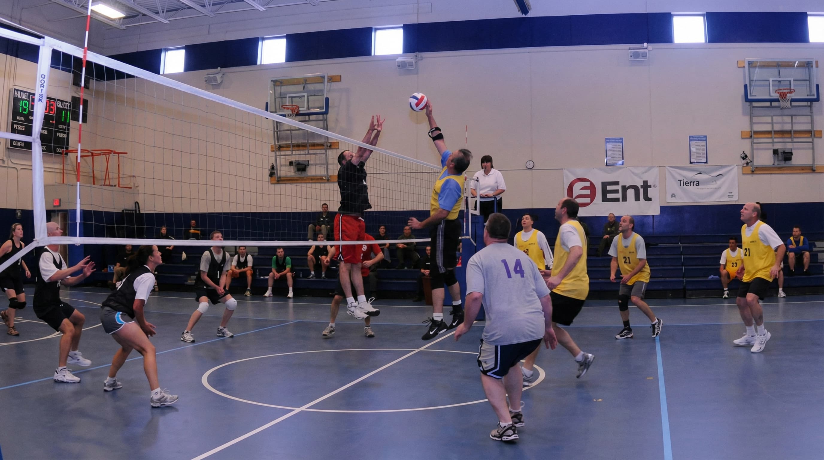 Adult Volleyball League in Edmonton — VISION Elite Academy