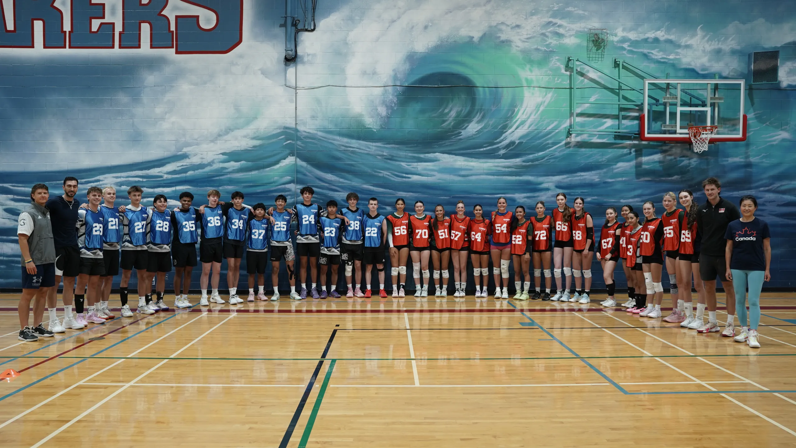 Volleyball Showcase in Fraser Valley — VISION Elite Academy