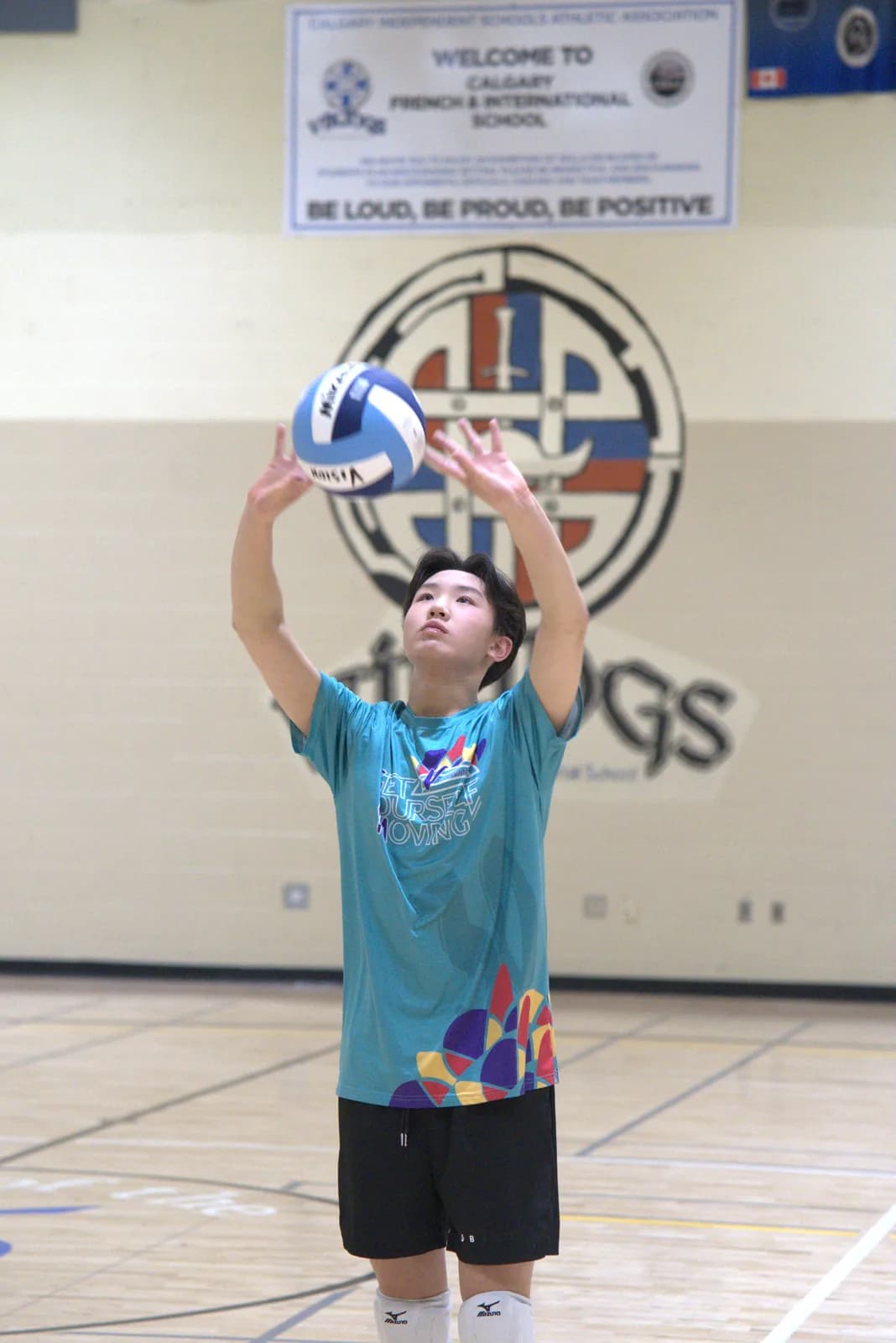Private Volleyball Lessons in Montréal — VISION Elite Academy